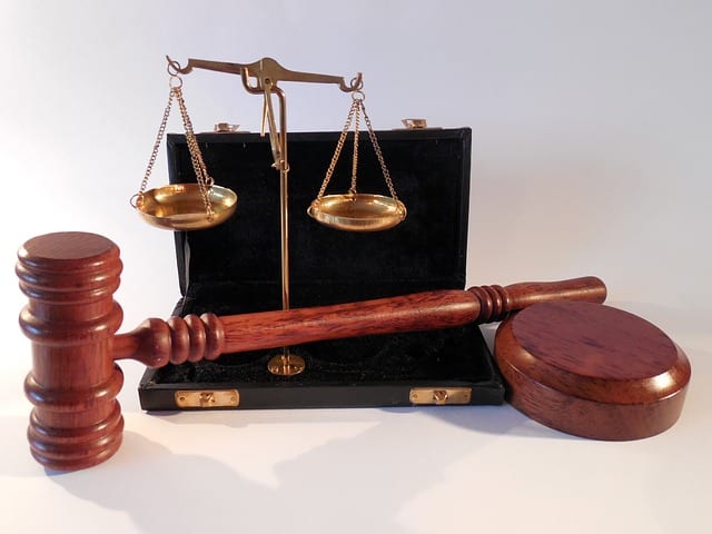 court certified expert witness