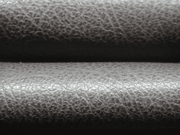 RiverGrainGoat_Black