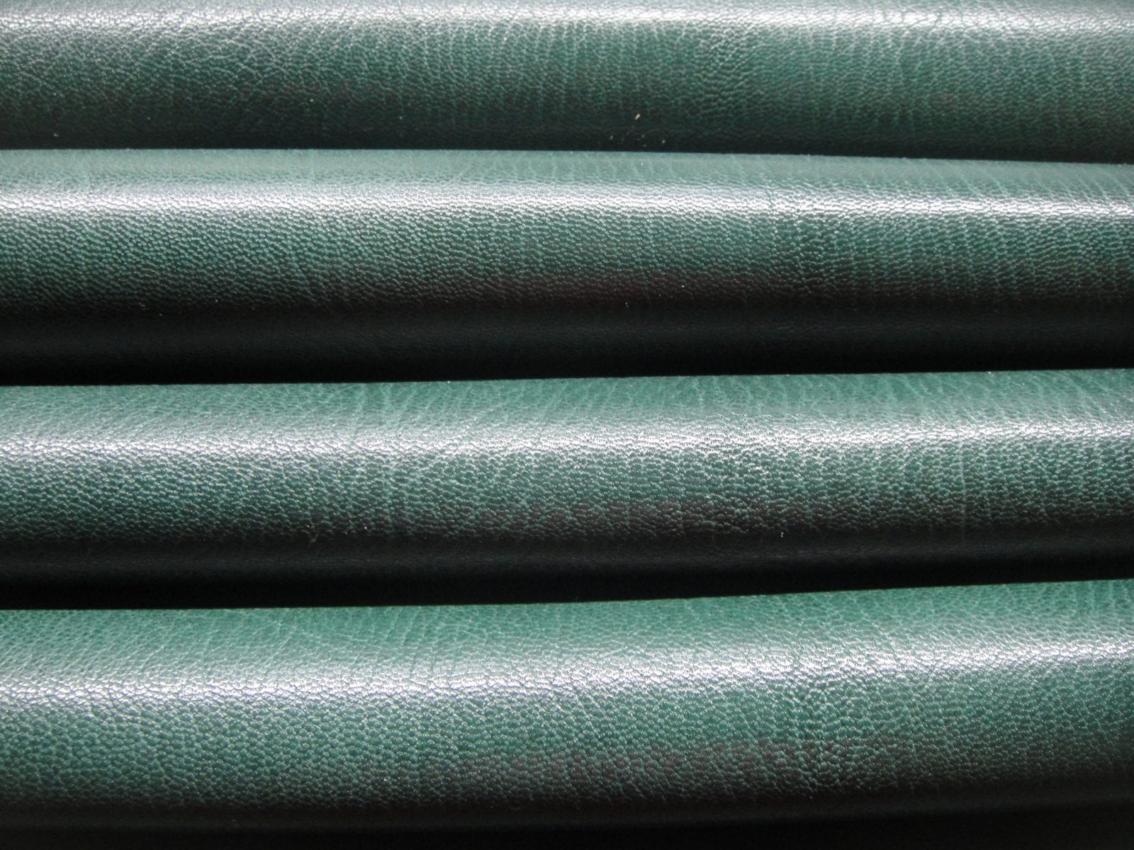 SokotoGoat_ForestGreen