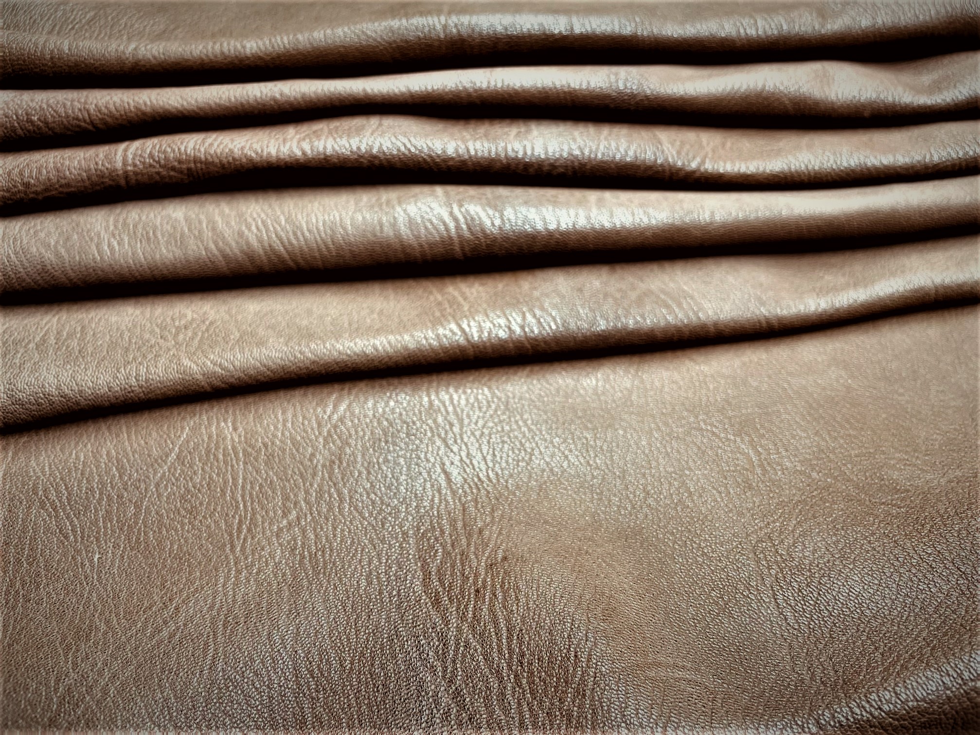 Siegel’s Sokoto Traditional (B205422)