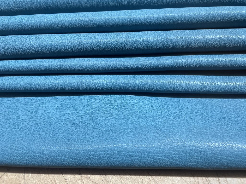 Capra Granulosa - New (4 colors)